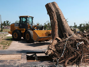 Tree Removal